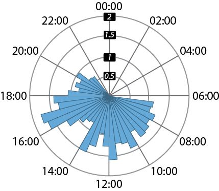 Circular histogram with bars arranged around a 24-hour clock face.